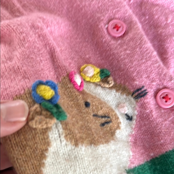 Baby Boden Cardigan with hamster/gerbil Design 18-24 - Picture 2 of 5